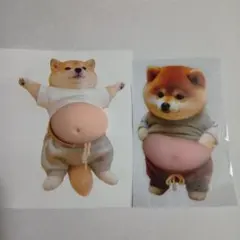 ☓　2枚組　お腹　ぽっこり　シリコン　ぷにぷに　ステッカー　柴犬　シール　おなか