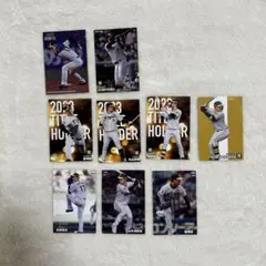 プロ野球チップス カルビー 阪神タイガース2023-2024