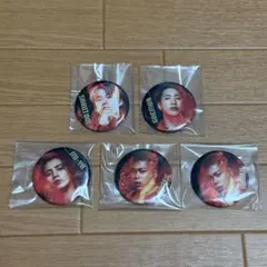 2025年最新】ユニット名：THE RAMPAGE from EXILE TRIBE ピンズ