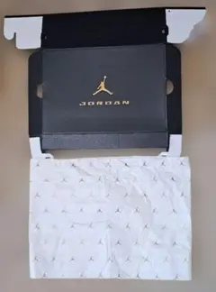 NIKE ジョーダン TRUNNER FLOW 27cm 空箱