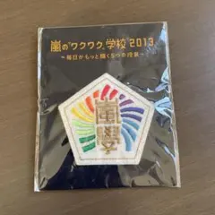 嵐　ワクワク学校　2013 ワッペンブローチ