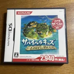 サバイバルキッズ　LOST in BLUE Ds ソフト　1581DR
