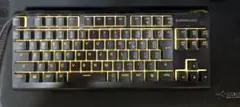 SteelSeries APEX 3 TKL キーボード
