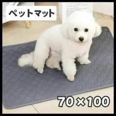 Item thumbnail for item c1ad7ca7-c2c1-406c-b2b7-4eb6374a58e8