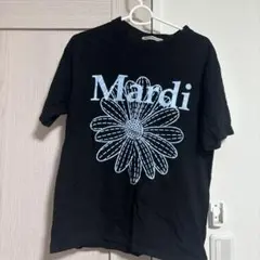 Item thumbnail for item 85548b19-11ad-4cdd-a7b7-e7fc87ea6fcb