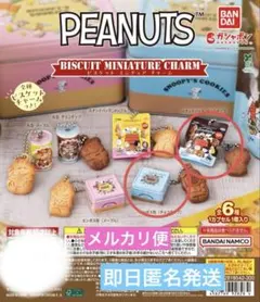 PEANUTS ビスケットミニチュアチャーム☆2種☆