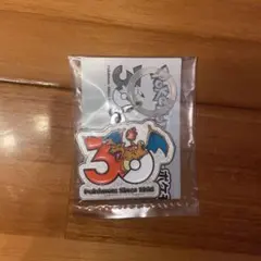 ポケモン30周年 メタルチャームマスコット ピカチュウ リザードン
