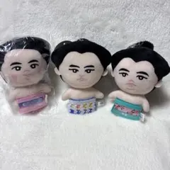 ABEMA大相撲 マスコットキーホルダー 豊昇龍 琴櫻 宇良
