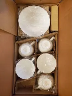 【値下げ！新品未使用】ノリタケ ボーンチャイナ カップ&ソーサー 5客