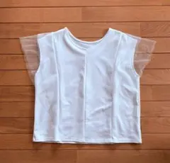 美しい白のＴシャツ