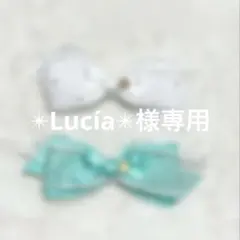 ✴︎Lucía✴︎様専用ページ