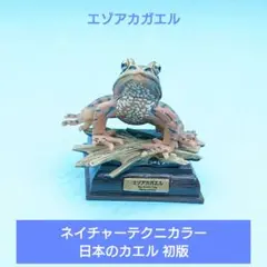 希少 奇譚クラブ ネイチャーテクニカラー「日本のカエル 初版 エゾアカガエル