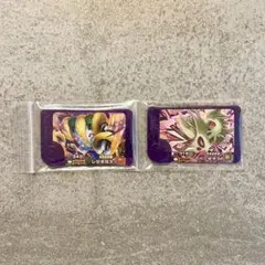 ポケモンフレンダ　ベストタッグ第4弾　スーパートレジャー　2枚セット