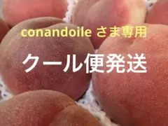山梨一宮の甘い桃 特大6個詰めて発送 美味しいょ ももやのきよし