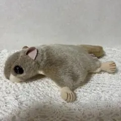 2026年最新】ムササビぬいぐるみの人気アイテム - メルカリ