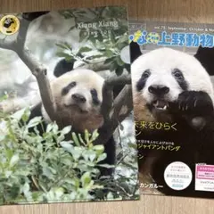 未開封 シュリンク付き ずっと一緒 リーリーと シンシン - メルカリ