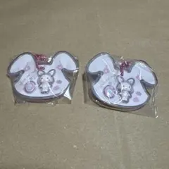 サンリオキャラクターズ パッケージチャーム