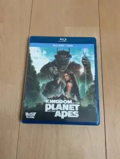 Item thumbnail for item dec80657-1e5e-47c5-afda-569bf3428150