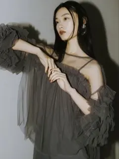 ANDRESD／アンドレスド decorative tulle tops