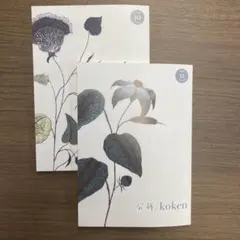 koken 10号 11号 セット