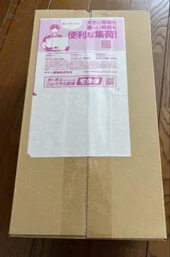 【新品未開封】ポケモンセンター トウホク スペシャルBOX