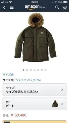 ノースフェイス マクマードパーカー