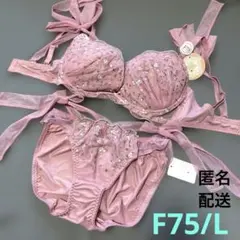 ブラショーツセット　F75 01のサムネイル