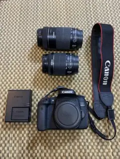 Item thumbnail for item 9c94964c-4344-4d82-bbb9-2ed0ad34209b