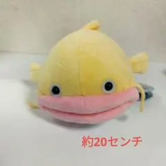 なまずのずっちー　ゆかいななかま　ぬいぐるみ　こがねっちょのサムネイル