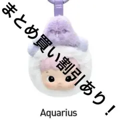 ハチププ The Constellation Aquarius 水瓶座