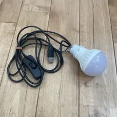 USB給電式 LED電球 ペンダントライト フック付き