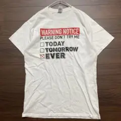 GILDAN ギルダン Tシャツ プリント M