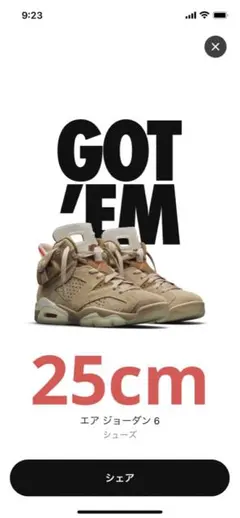 【新品】Travis Scott × Nike Air Jordan 6