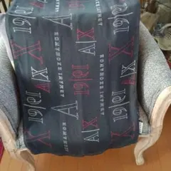 Armani Exchange ロゴストール