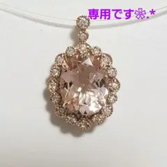 専用です❀.*・他の方はご遠慮下さいませm(_ _)m