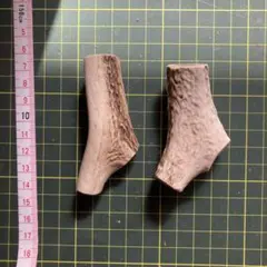 2026-255 鹿の角10本☆鹿の角☆シカの角☆蝦夷鹿☆本州鹿☆犬の
