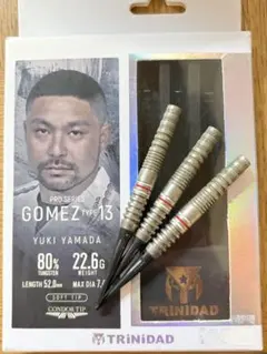 Gonzalez Type5 スティール20g 西哲平選手 ハードダーツ バレル - メルカリ