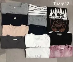 Tシャツ　13点のサムネイル