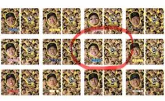 阪神タイガース　シークレット　顔柄　クリアファイル　木浪聖也選手