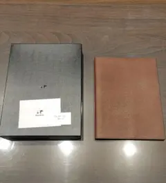 Item thumbnail for item 70a5fcf6-46c6-4073-b995-eb0542e6e02c