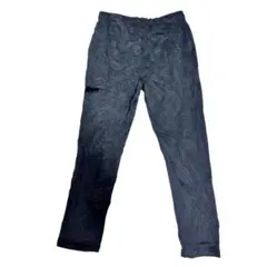 Item thumbnail for item 66af6911-7e87-490a-863c-e501bf69ef7b