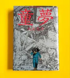 アナログLPレコード 童夢 伊豆一彦 大友克洋 帯切り取りなし アナログLPレコード 童夢 伊豆一彦 大友克洋 帯切り取りなし - メルカリ