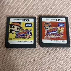 家庭教師ヒットマンリボーンDSボンゴレカーニバルなど２点セット