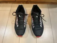 ナイキ　nike Jordan ゴルフシューズ ブラック