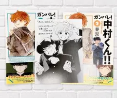 もっとガンバレ！中村くん！！ アニメイト特典リーフレット - メルカリ