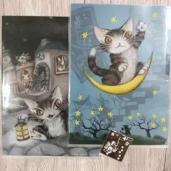 ⭐お値下げ⭐わちふぃーるど　ダヤン　クリアファイル　3枚・ファスナーアクセセット