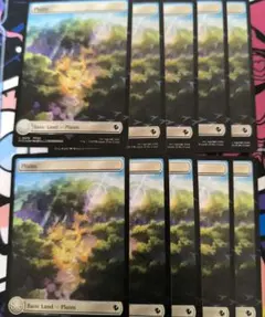 チョコボトラックFoil　英語版　基本土地　平地　Plains　10枚　バンドル