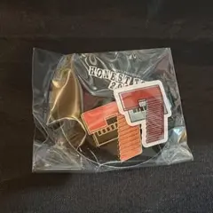 NAOTO　ピンバッジ ステッカーセット　HONEST TOWN 2026 7