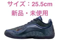 NIKE レブロン23 