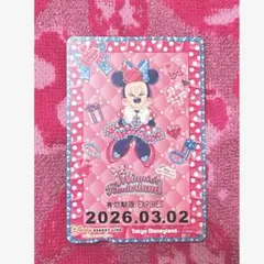 ディズニー　ミニーの日　フリーきっぷ　リゾートライン　ミニーのファンダーランド